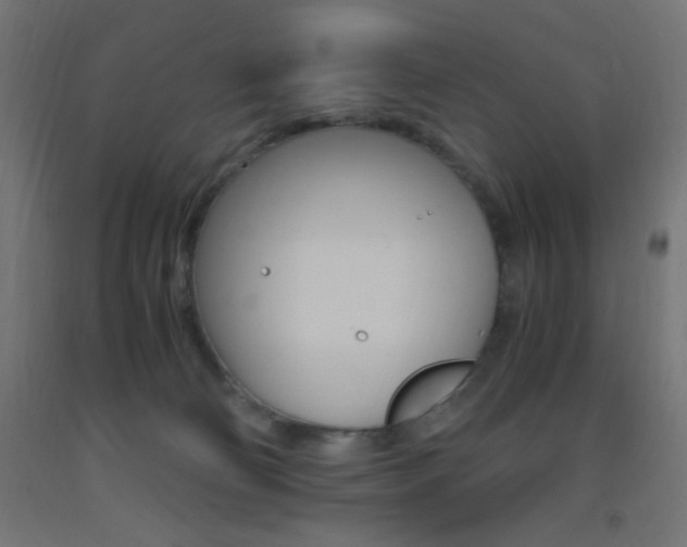 X0000093530130200710121157