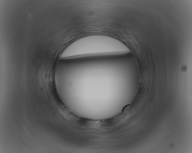 X0000093530131200710121157