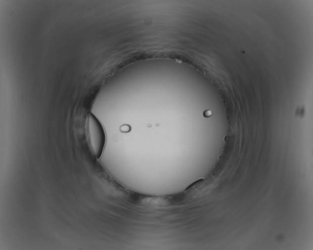 X0000093530133200710121157