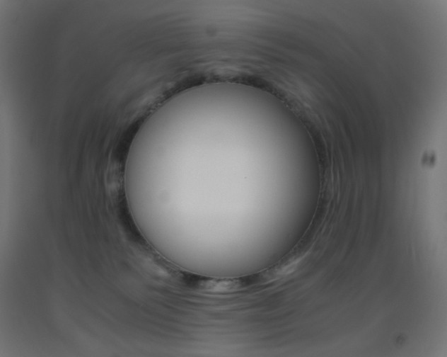 X0000093530135200710121157