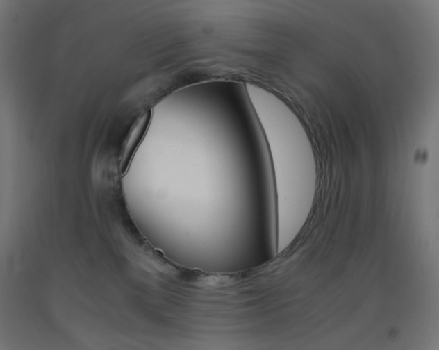 X0000093530137200710121157