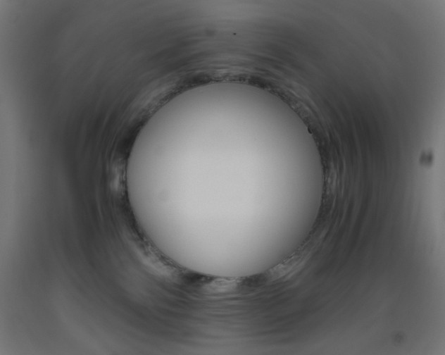 X0000093530138200710121157