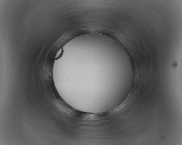X0000093530140200710121157