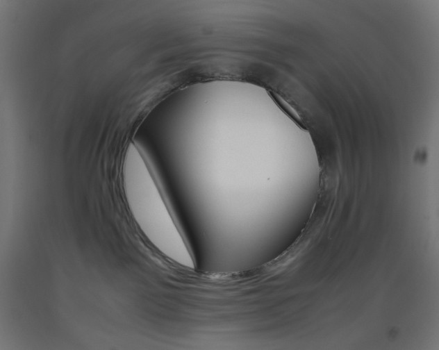 X0000093530141200710121157