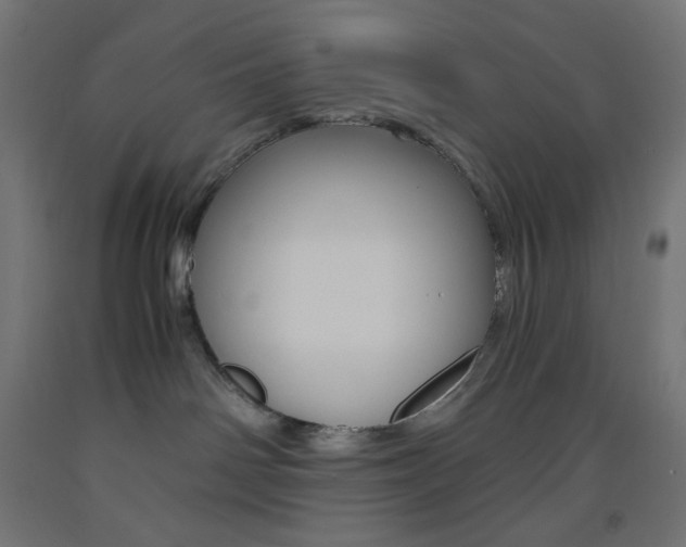 X0000093530142200710121157