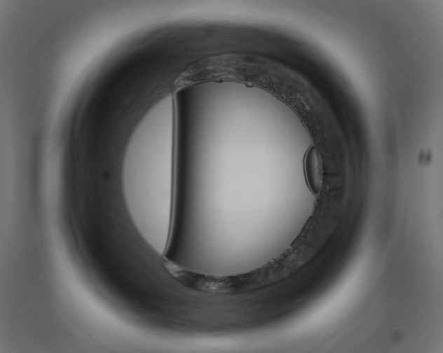 X0000093530143200710121157