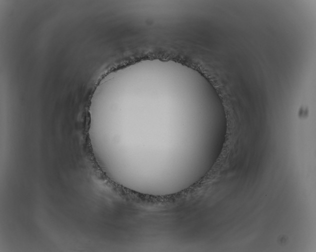 X0000093530144200710121157