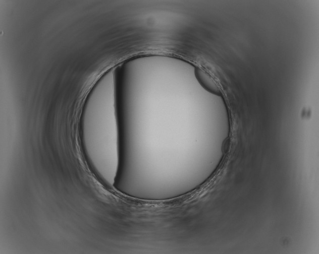X0000093530145200710121156