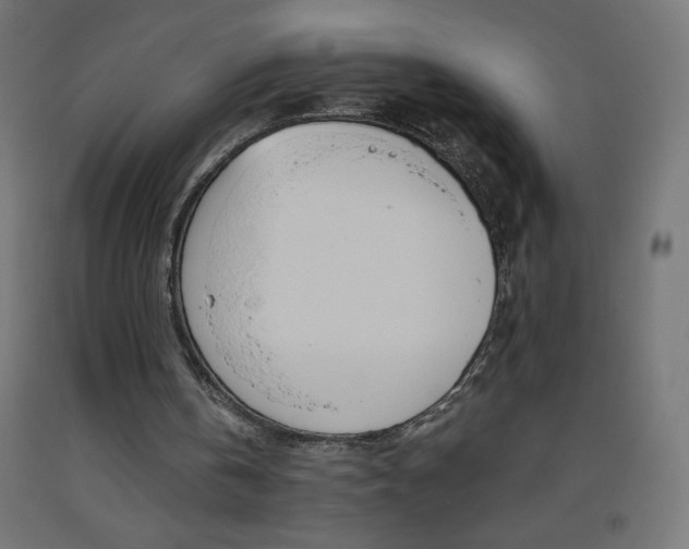 X0000093530146200710121156