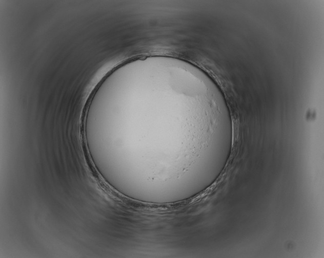 X0000093530147200710121156