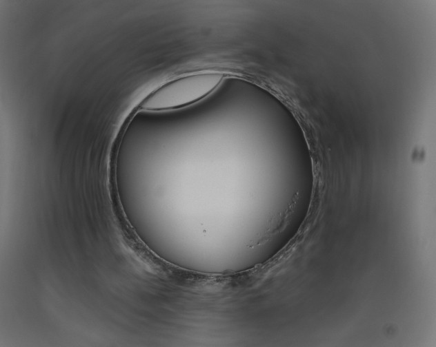 X0000093530148200710121156