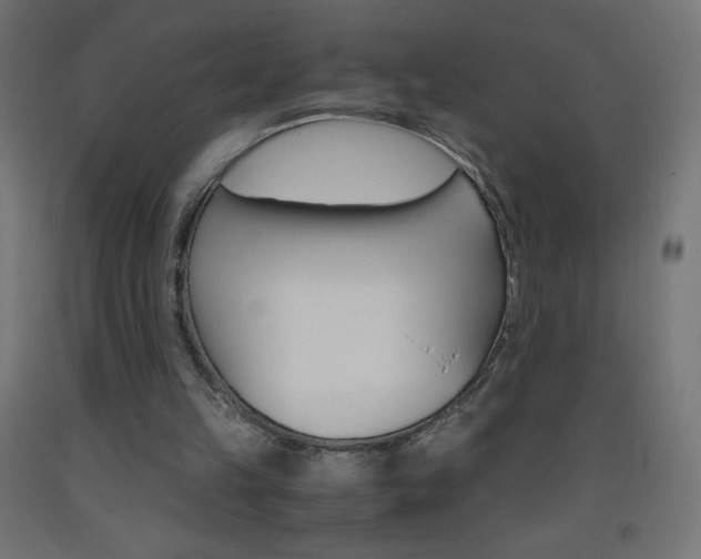 X0000093530149200710121156
