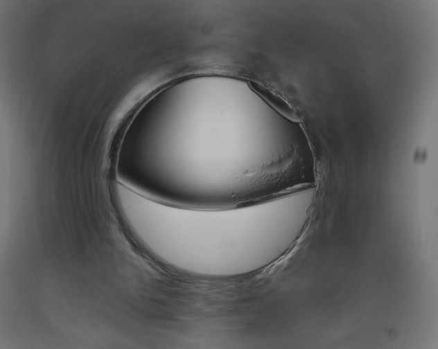X0000093530150200710121156