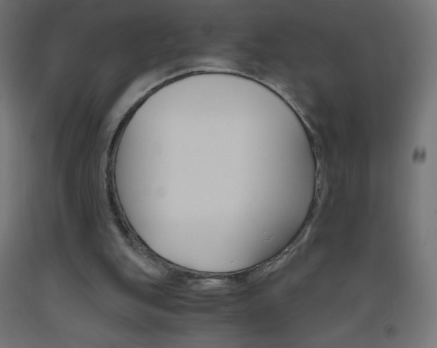 X0000093530151200710121156