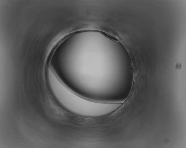 X0000093530152200710121156