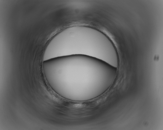 X0000093530153200710121156