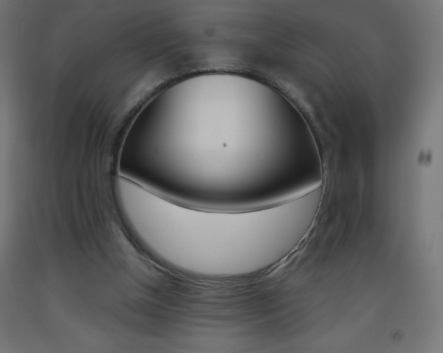 X0000093530154200710121156