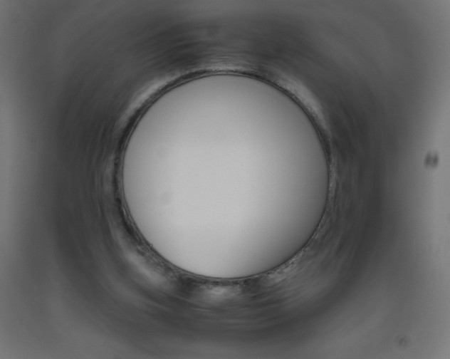 X0000093530155200710121156