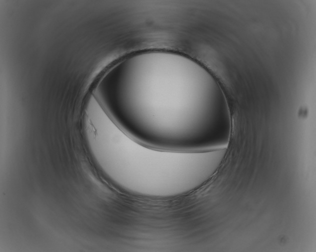 X0000093530156200710121156