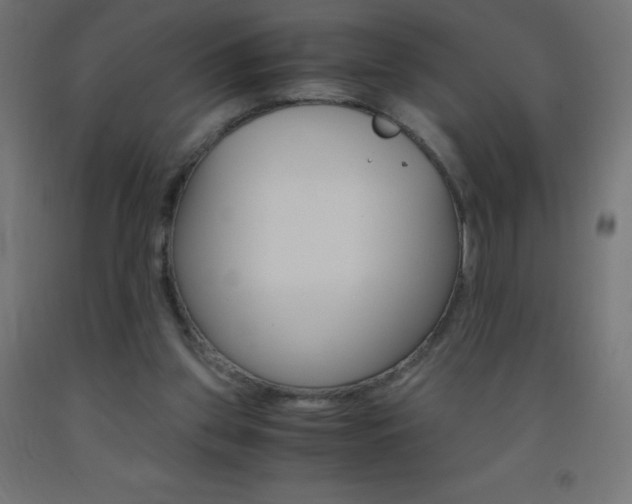 X0000093530157200710121156