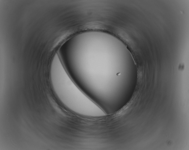 X0000093530158200710121156