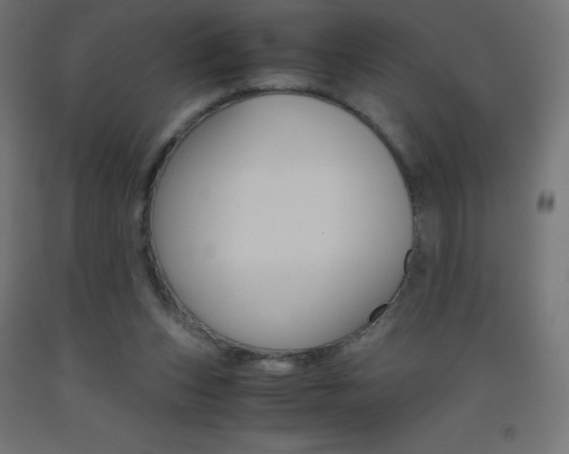 X0000093530159200710121156