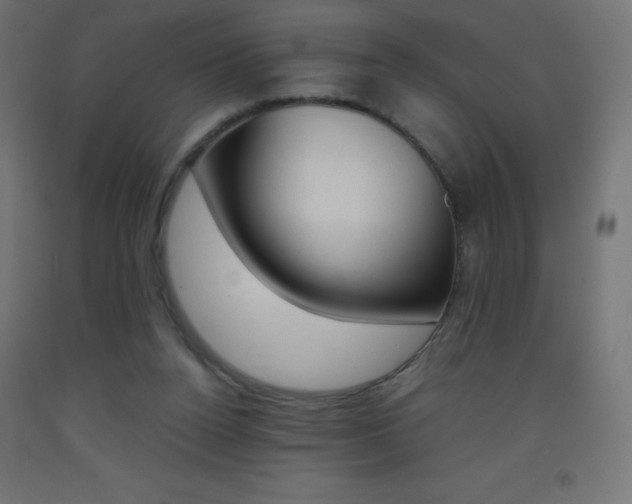 X0000093530160200710121156