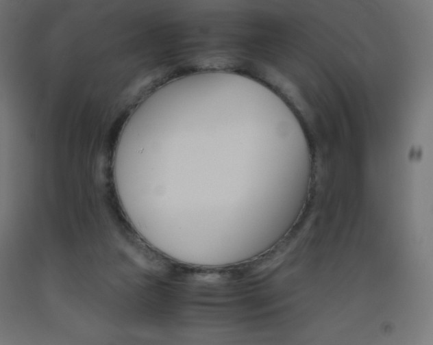 X0000093530161200710121156