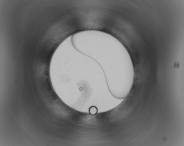 X0000093530162200710121156