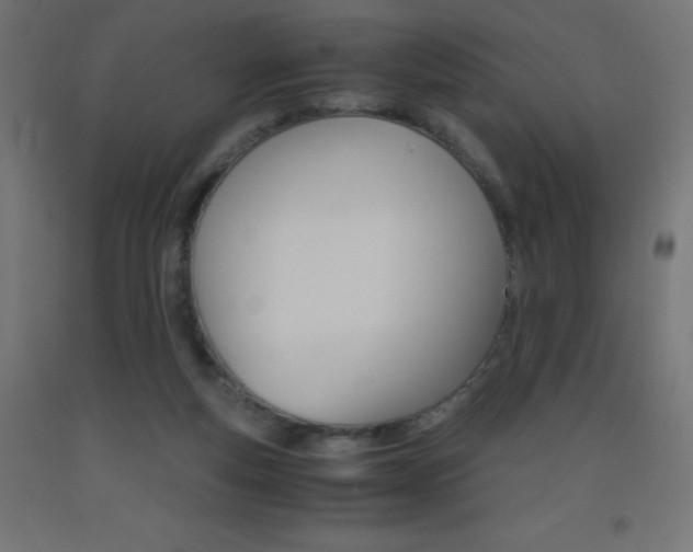 X0000093530163200710121156