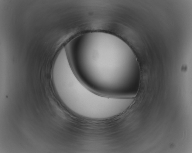X0000093530164200710121156
