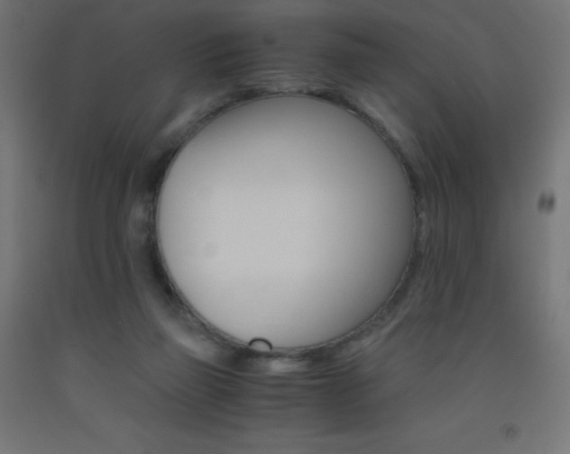 X0000093530165200710121156