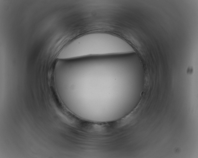 X0000093530166200710121156