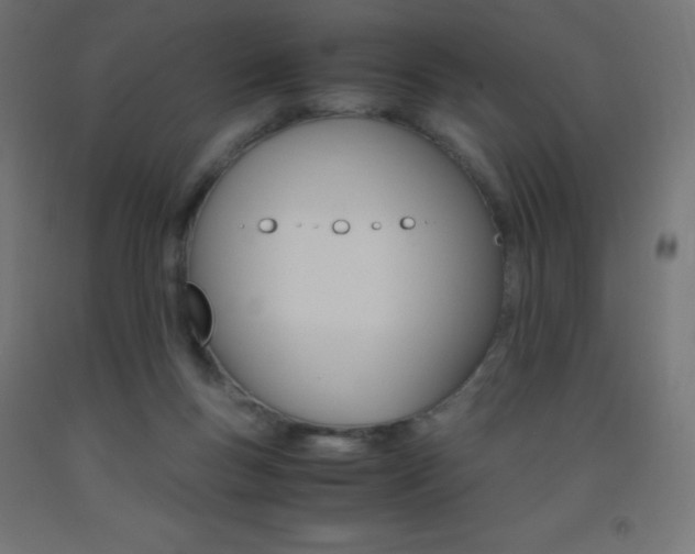 X0000093530167200710121156