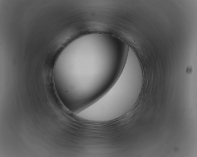 X0000093530168200710121157