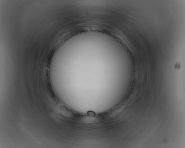 X0000093530169200710121157