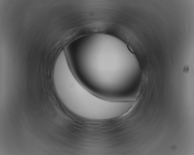 X0000093530170200710121157