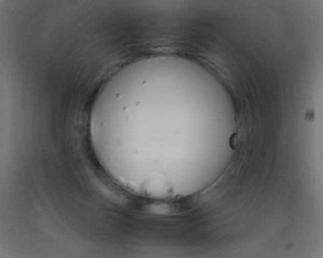 X0000093530171200710121157