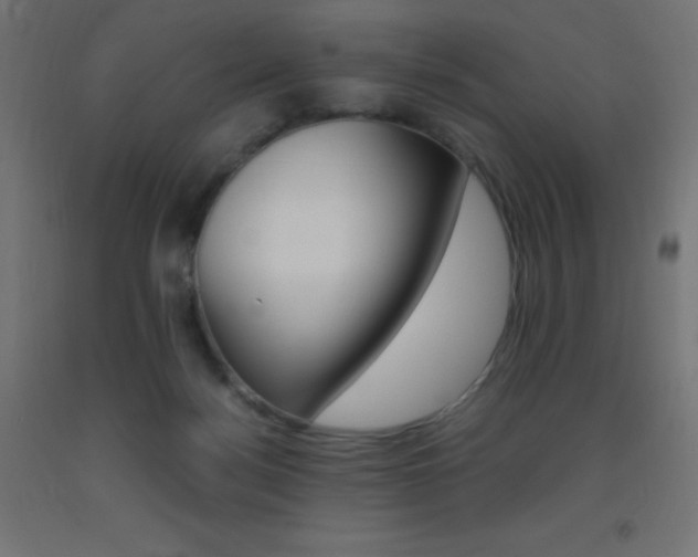 X0000093530172200710121157