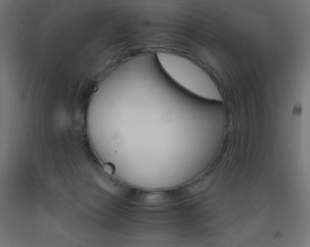 X0000093530173200710121157