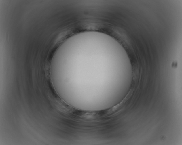 X0000093530175200710121157