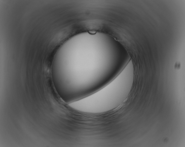 X0000093530176200710121157
