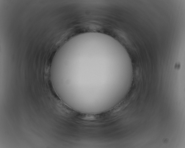 X0000093530177200710121157
