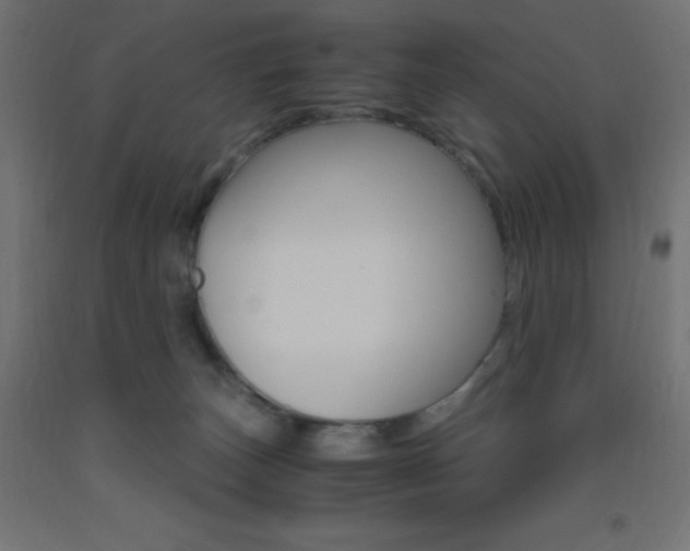 X0000093530179200710121157