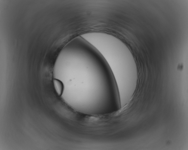 X0000093530180200710121157