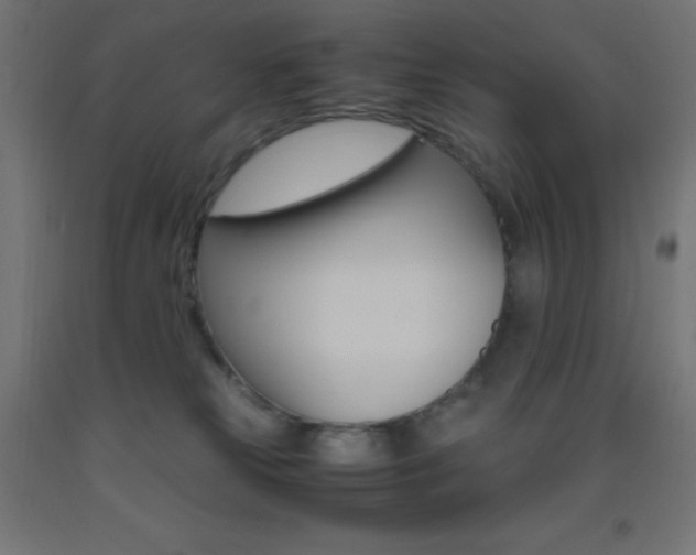X0000093530181200710121157