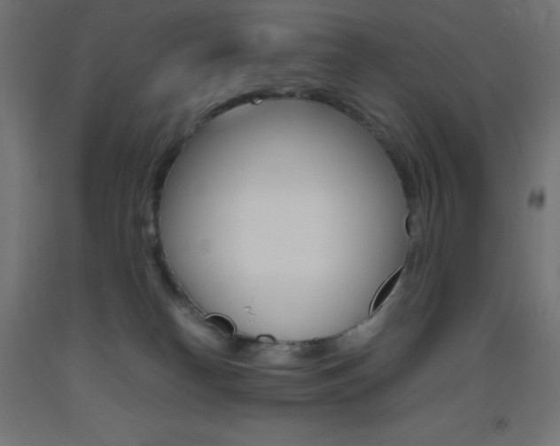 X0000093530182200710121157