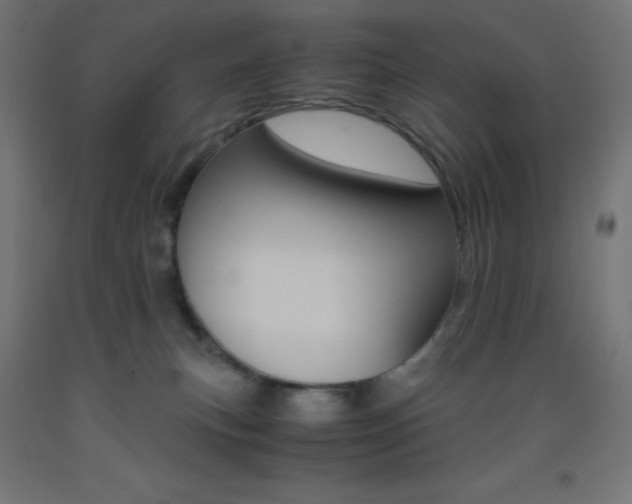 X0000093530183200710121157