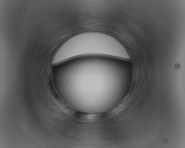X0000093530184200710121157