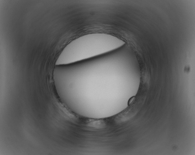 X0000093530185200710121157